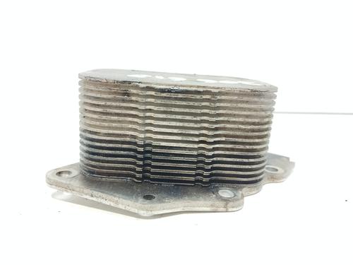 Oil radiator PEUGEOT 308 I (4A_, 4C_)  | BP29721994M33 