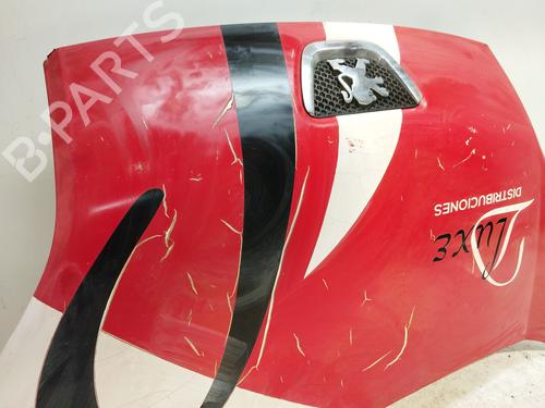 Hood PEUGEOT BIPPER (AA_)  | BP19527572C1 