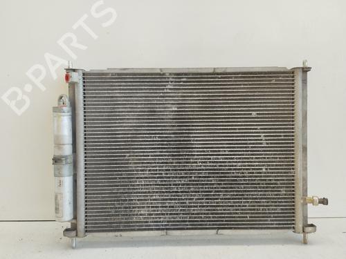 Water radiator RENAULT CLIO III (BR0/1, CR0/1) 1.2 16V (BR0P, CR0P) | BP28180619M31 