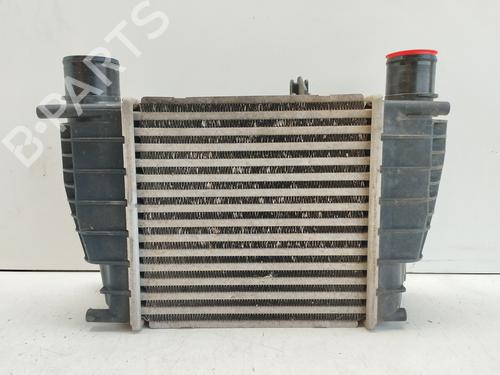Intercooler RENAULT CLIO III (BR0/1, CR0/1) 1.2 16V (BR0P, CR0P) (101 hp) 28715009