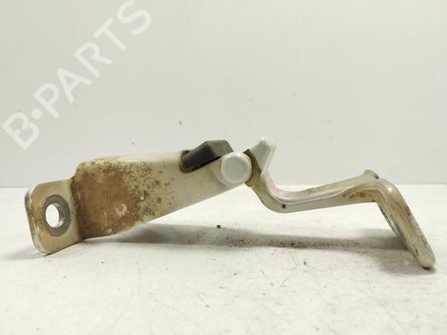 Used Hinge/Door check strap RENAULT KANGOO / GRAND KANGOO II (KW0/1_) [2008-2025]  21679555