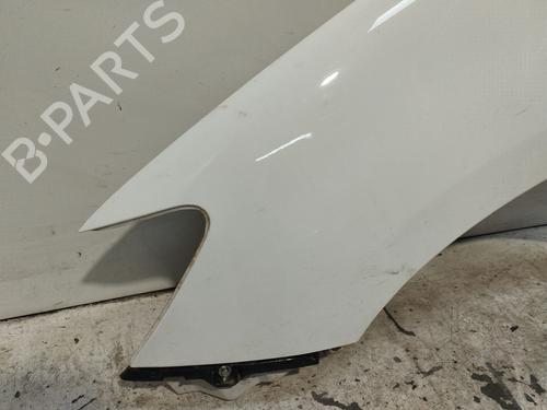 Left front fenders TOYOTA HILUX VII Pickup (_N1_, _N2_, _N3_)  | BP24147499C41 