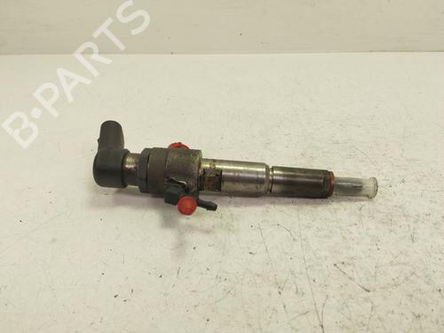 Used Injector CITROËN C3 I (FC_, FN_) 1.4 HDi (68 hp) 30000304