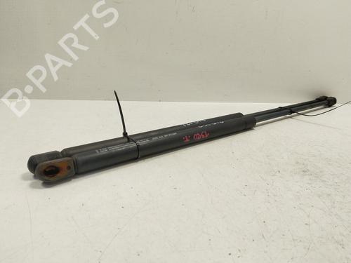 Tailgate lift support SEAT IBIZA III (6L1) | BP30193286C138