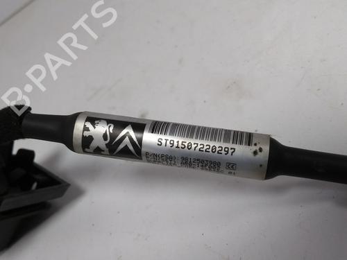 Other PEUGEOT 308 II (LB_, LP_, LW_, LH_, L3_)  | BP17398922O1