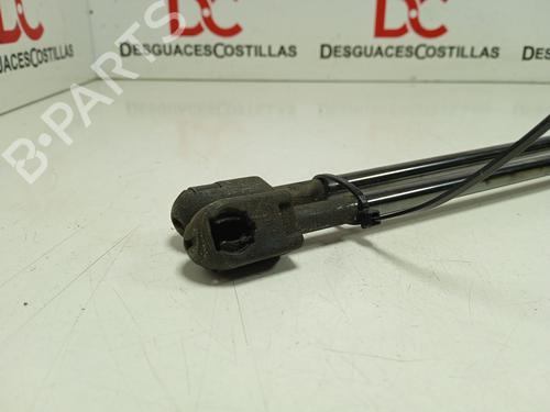 Tailgate lift support HYUNDAI i30 (FD)  | BP17411380C138