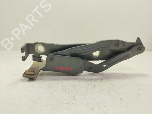 Used Hinge/Door check strap Hinge/Door check strap RENAULT SCÉNIC II (JM0/1_) [2003-2010] 36003655 36003655