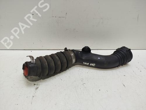 Rør RENAULT CLIO III (BR0/1, CR0/1) [2005-2014]  29464291