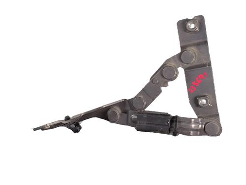 Used Hinge/Door check strap Hinge/Door check strap SEAT TOLEDO III (5P2) 2.0 TDI 16V (140 hp) 36003426 36003426