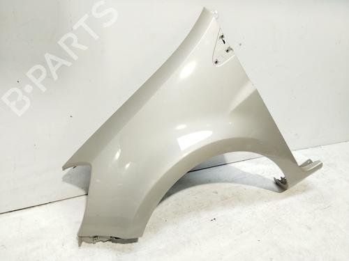Left front fenders RENAULT CLIO III (BR0/1, CR0/1) 1.5 dCi | BP28478634C41 