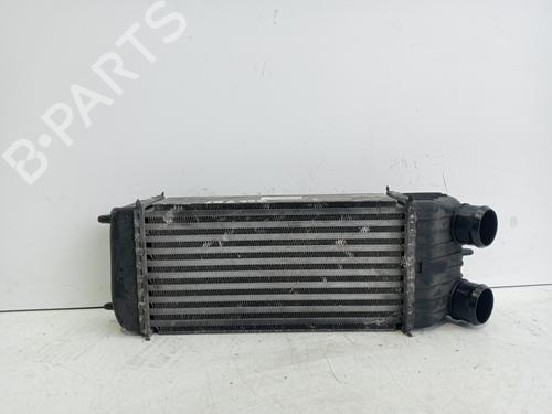 Intercooler PEUGEOT 207 (WA_, WC_) [2006-2015]  31091468