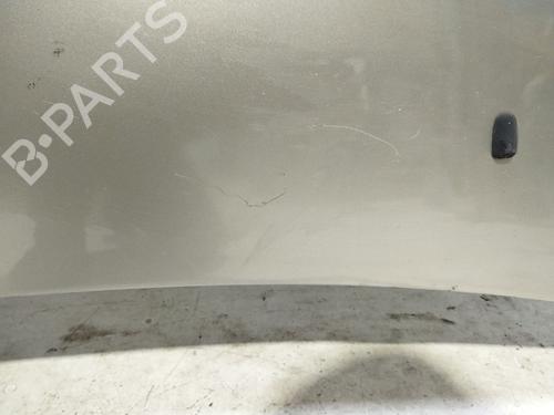 Hood FORD FIESTA V (JH_, JD_) 1.4 TDCi | BP25022085C1 