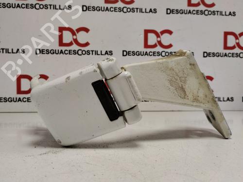 Hinge/Door check strap RENAULT CLIO II (BB_, CB_) 1.5 dCi (B/CB3M) | BP30151971C146