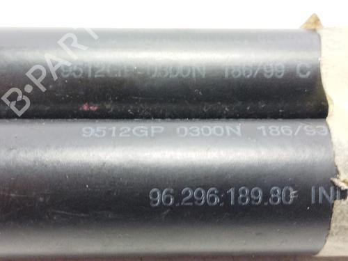 Hood lift support CITROËN XSARA Coupe (N0) 1.9 D | BP17423873C139 