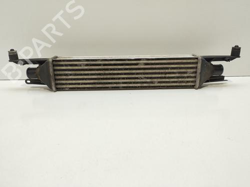 Used Intercooler FIAT GRANDE PUNTO (199_) 1.3 D Multijet (75 hp) 22689746