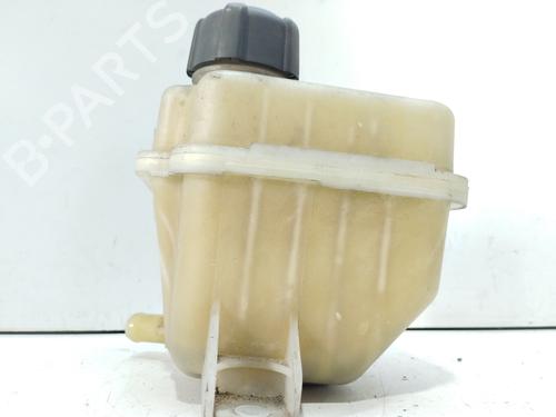 Expansion tank NISSAN QASHQAI / QASHQAI +2 I (J10, NJ10, JJ10E)  | BP24343576C120 