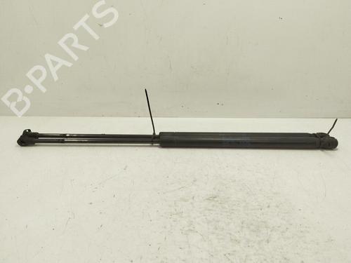 Used Tailgate lift support SEAT IBIZA III (6L1) [2002-2009]  31713102