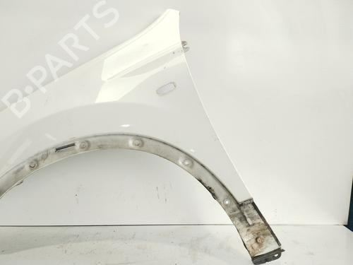 Left front fenders NISSAN QASHQAI I (J10, NJ10)  | BP24333434C41