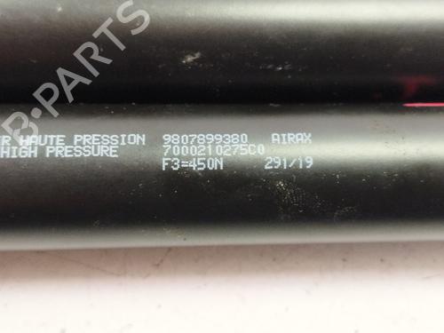 Tailgate lift support PEUGEOT 308 II (LB_, LP_, LW_, LH_, L3_) | BP30687975C138