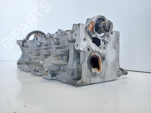 Cylinder head RENAULT CLIO III (BR0/1, CR0/1) | BP30579994M5