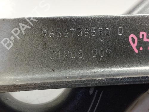 Hinge/Door check strap PEUGEOT 308 I (4A_, 4C_) | BP25136339C146