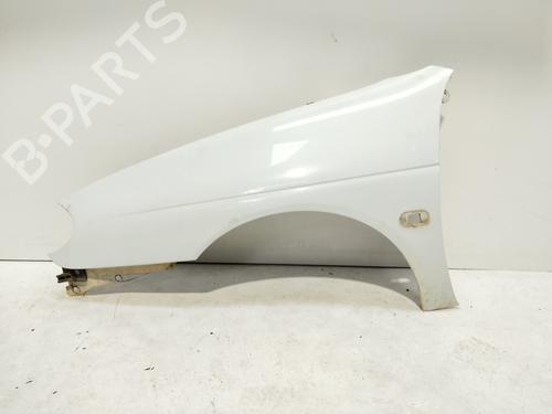 Used Left front fenders RENAULT MEGANE I (BA0/1_) 1.9 dCi (BA05, BA1F) (102 hp) 19142091