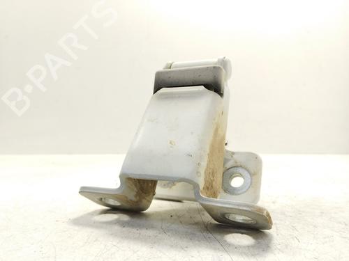 Used Hinge/Door check strap RENAULT KANGOO / GRAND KANGOO II (KW0/1_) [2008-2025]  25710057