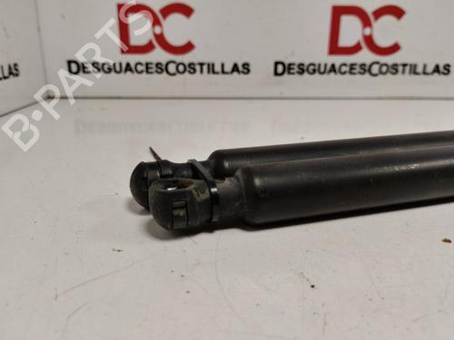 Tailgate lift support PEUGEOT 308 I (4A_, 4C_)  | BP17410711C138 