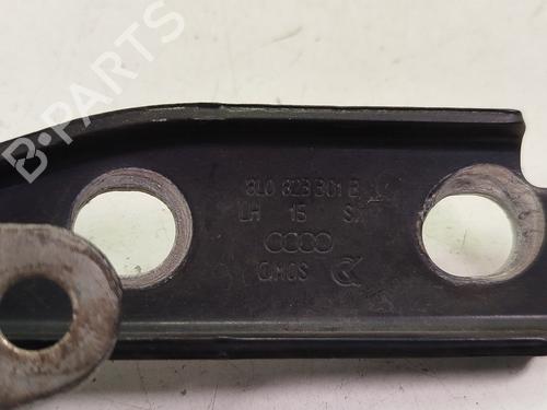 Hinge/Door check strap AUDI A3 (8L1) 1.9 TDI | BP29050220C146 