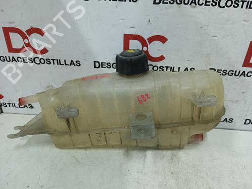 Used Expansion tank RENAULT CLIO III (BR0/1, CR0/1) 1.5 dCi (BR17, CR17) (86 hp) 17414787