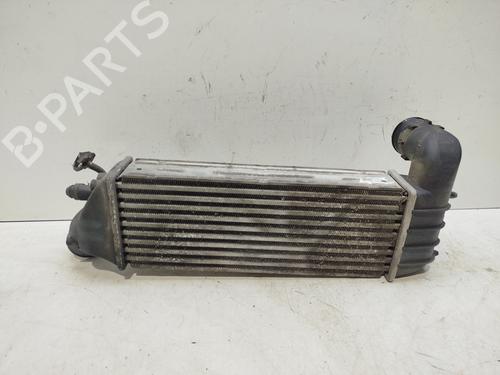 Intercooler CITROËN C8 (EA_, EB_) 2.2 HDi | BP31939773M30