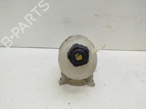 Used Expansion tank RENAULT SCÉNIC I MPV (JA0/1_, FA0_) [1999-2010]  30476845
