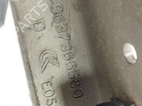 Hinge/Door check strap CITROËN C3 I (FC_, FN_)  | BP29062545C146 