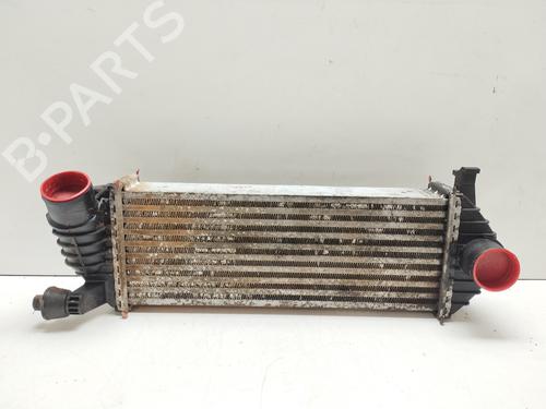 Used Intercooler RENAULT KANGOO / GRAND KANGOO II (KW0/1_) [2008-2025]  21679593