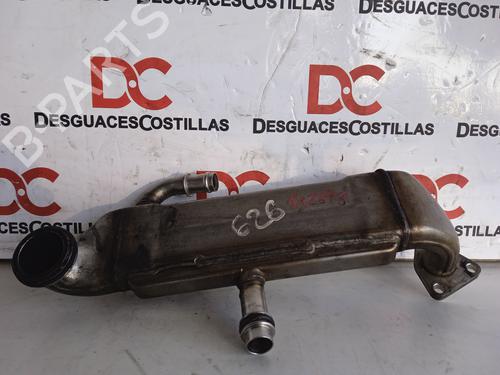 Used Egr MERCEDES-BENZ E-CLASS (W210) E 320 CDI (210.026) (197 hp) 25846169
