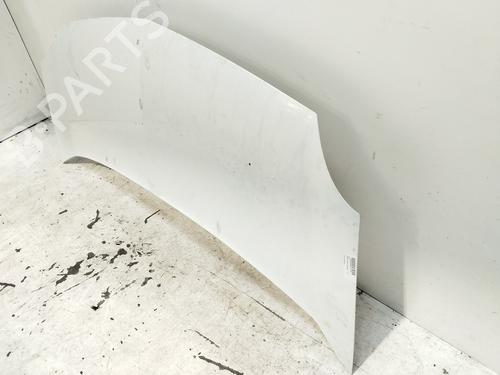Hood RENAULT KANGOO / GRAND KANGOO II (KW0/1_)  | BP21679613C1 