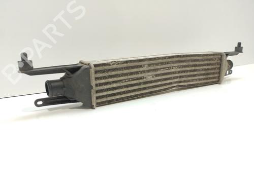 Intercooler FIAT GRANDE PUNTO (199_) 1.3 D Multijet (199.AXD11, 199.AXD1A, 199.AXD1B,... | BP22689745M30 