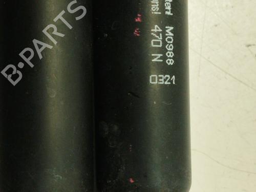 Tailgate lift support SEAT IBIZA III (6L1) | BP30193286C138