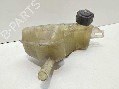 Expansion tank RENAULT GRAND SCÉNIC II (JM0/1_) 1.9 dCi (JM15) | BP17800760C120 