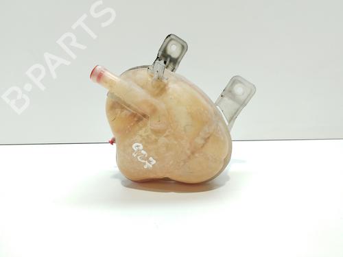 Expansion tank FIAT GRANDE PUNTO (199_) 1.4 16V | BP25743480C120