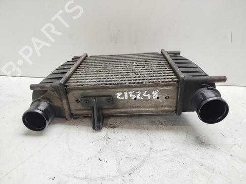 Intercooler RENAULT CLIO III (BR0/1, CR0/1)  | BP28715051M30 