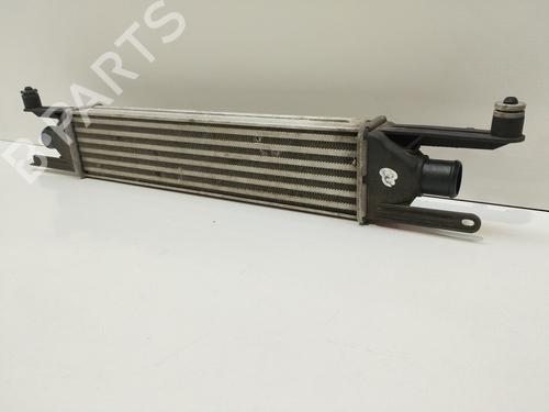 Intercooler FIAT GRANDE PUNTO (199_) 1.3 D Multijet | BP22689746M30 