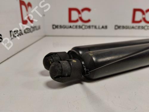 Tailgate lift support SEAT ALHAMBRA (7V8, 7V9) 1.9 TDI | BP25453908C138 