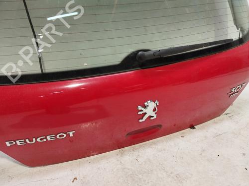 Tailgate PEUGEOT 307 (3A/C) 2.0 HDi 90 | BP27441928C6 