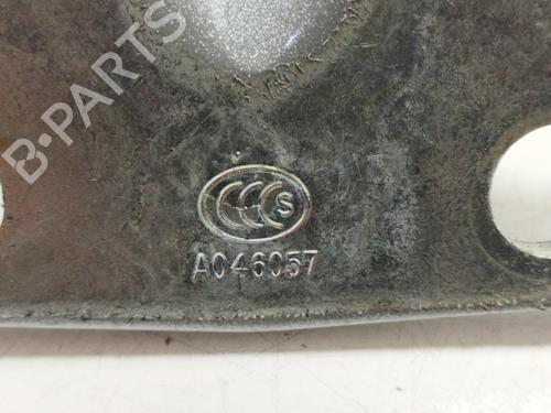 Hinge/Door check strap HYUNDAI TUCSON SUV Van (TLE)  | BP17425157C146 