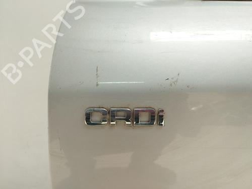 Left front door HYUNDAI SANTA FÉ I (SM) 2.4 16V 4x4 | BP19095454C2 
