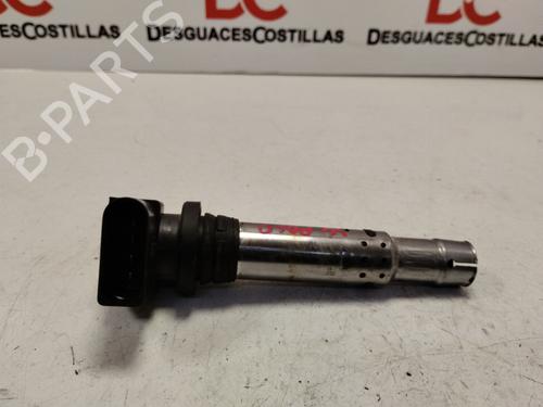 Used Ignition coil SEAT IBIZA III (6L1) [2002-2009]  17418320