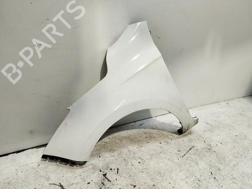 Left front fenders HYUNDAI i20 I (PB, PBT)  | BP21531224C41 