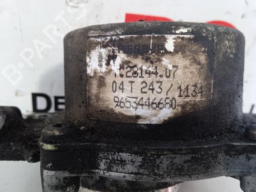 Vacuum pump CITROËN C3 I (FC_, FN_) 1.4 HDi | BP17415895M80 