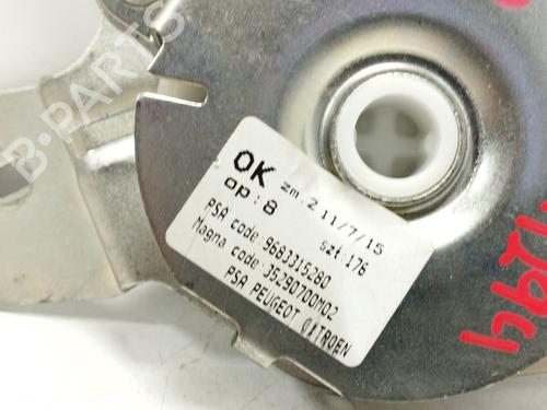 Tailgate lift support PEUGEOT 3008 I MPV (0U_) 1.6 HDi | BP17423581C138 